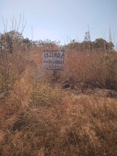 Fazenda com 36.5 alqueires em São Miguel do passa quatro Goias