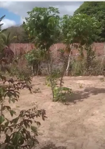 Vende se terreno no parque Jair