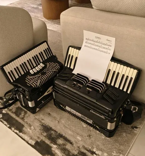 Acordeon a venda