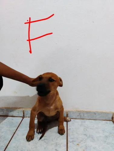 Doação