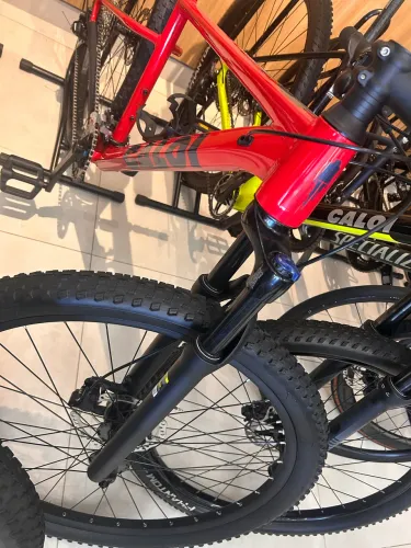 Mountain bike