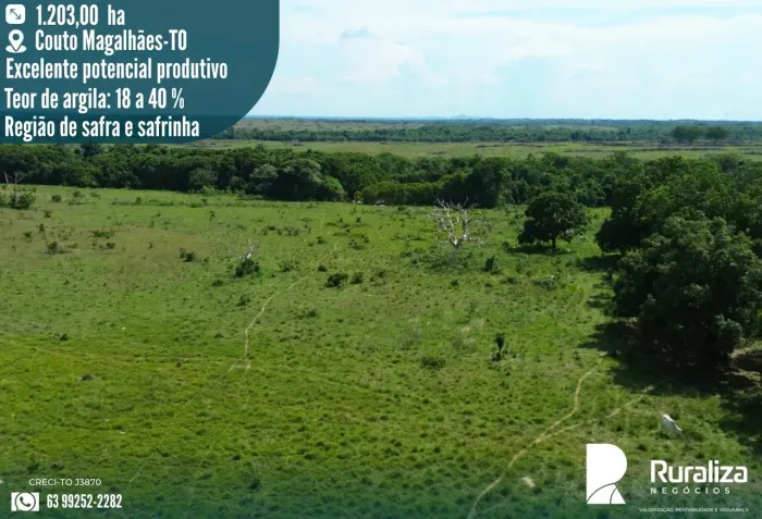 Em fase de conversão para agricultura, com excelente potencial produtivo e localização est