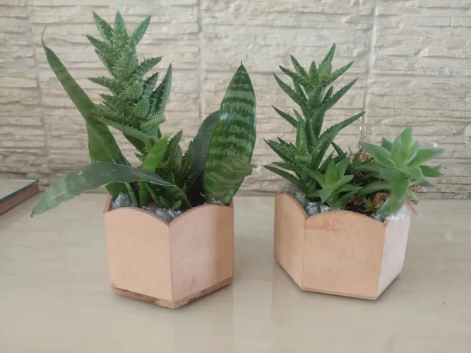 Jardinagem