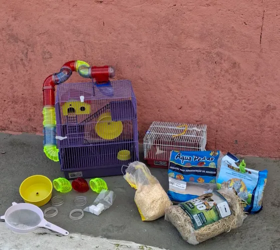 Gaiola para Hamster Completa - Excelente Estado