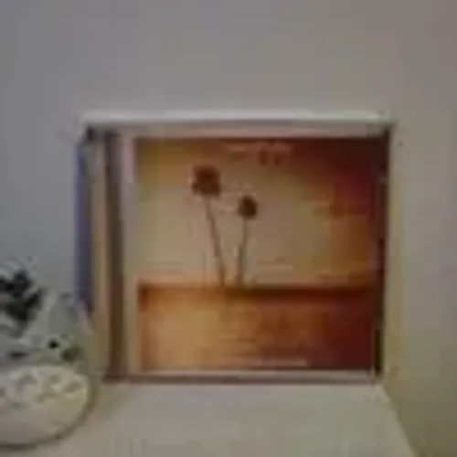 CD kings of leon - come around sundown