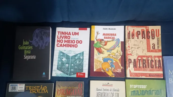 Livros paradidáticos R$ 20,00 cada
