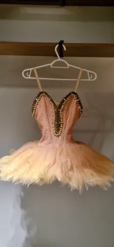 Vestido de ballet rosa com detalhes dourados