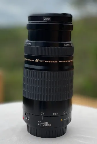 ジャンク】Canon EF 75-300mm 1:4-5.6 Ⅱ 2本セット ジャンク】Canon