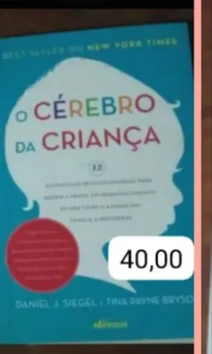 Livro O Cérebro da Criança- apenas retirada