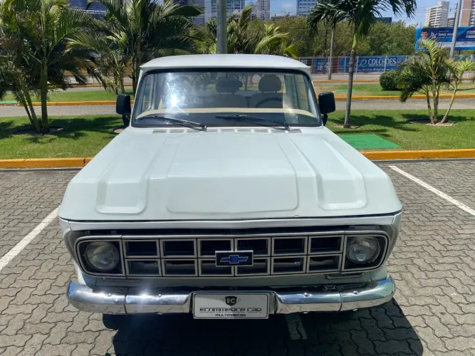 Chevrolet C-10 2.5/4.1 1980