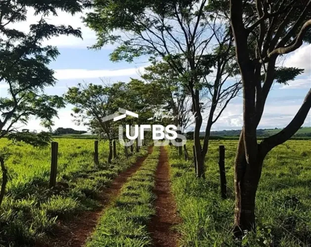 Sítio em Piracanjuba