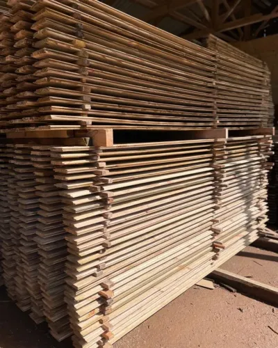 Pinus Tratado para Parede e Assoalho - Qualidade e Melhor Preço