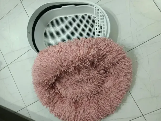Banheira Gato