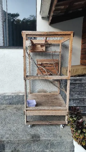 Vende se viveiro pra Calopsitas