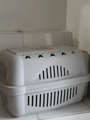 CAIXA PARA TRANSPORTAR CÃES E GATOS