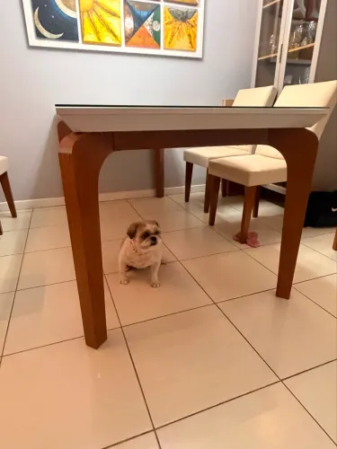 Mesa de 6 lugares 
