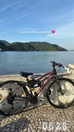 Bike Ever Aro 29
