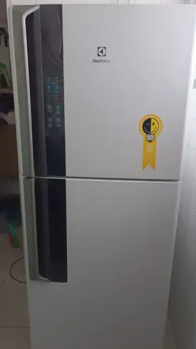Geladeira Frost Free, Duplex