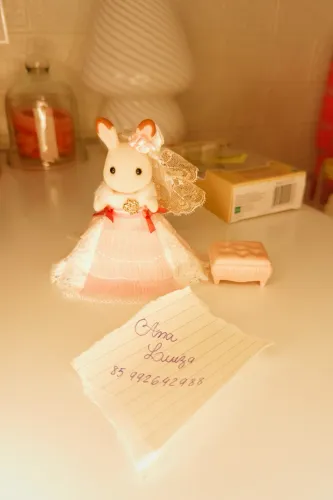 Sylvanian Luxurious Dress Girl