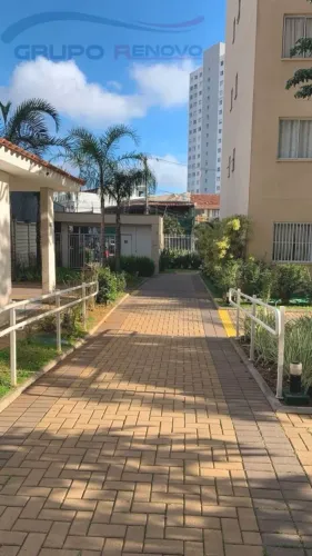 Apto, Locação, Jd. Marajoara/ Cidalia, S.P., 34m², 1 dorm, 1 sala, 1 banheiro, 600m da Av