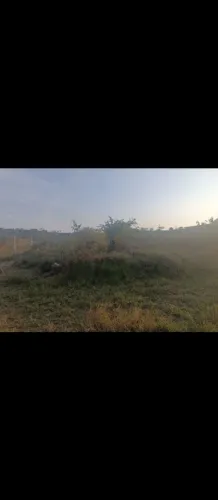 Vendo lote em salgado, no loteamento João Francisco medindo 10×25, próximo a cidade.