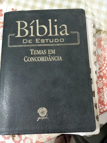 Bíblia de estudo Temas e concordância