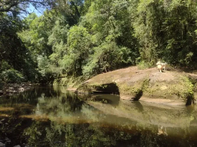 REFÚGIO EXCLUSIVO ENTRE A MATA E O RIO