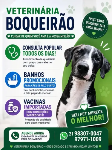 Consultas veterinárias 