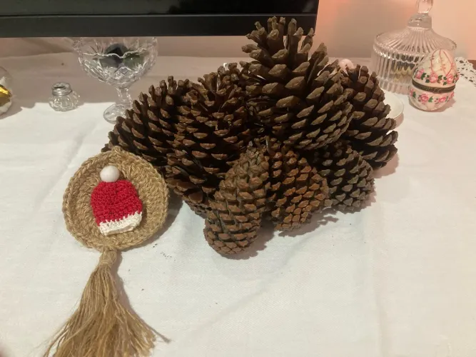 Kit 10 Pinhas Naturais Grandes e Médias | Decoração Natalina e Artesanato
