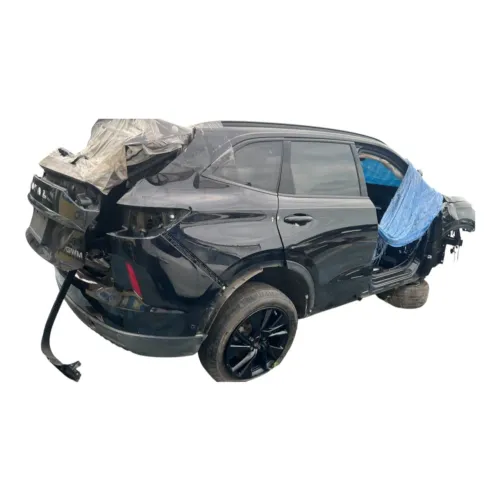 Kit Code Módulos GWM Haval H6 1.5 PHEV 2023