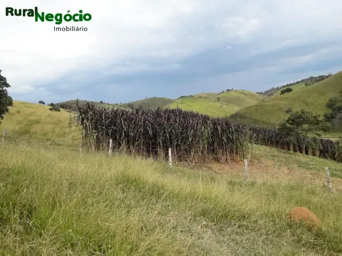 SITIO EM CUNHA  SP ( FRENTE AO ASFALTO)