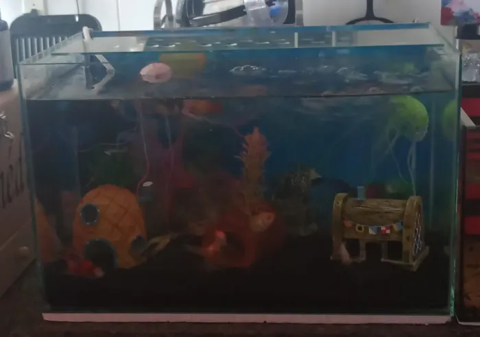 Vendo Aquário!