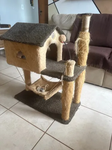 Gato