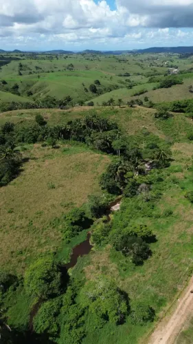 Fazenda para venda com 350000 metros quadrados em Centro - Pindoba - AL