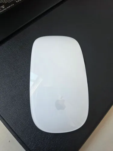 Magic Mouse