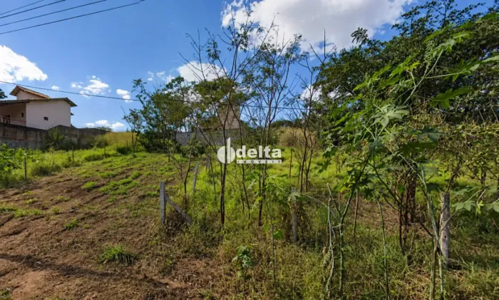 Terreno disponível para venda no bairro Jardim Inconfidência em Uberlândia MG