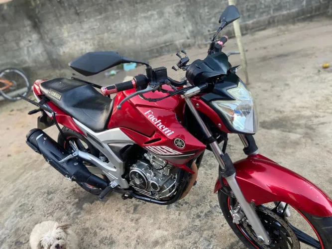 Fazer 240cc