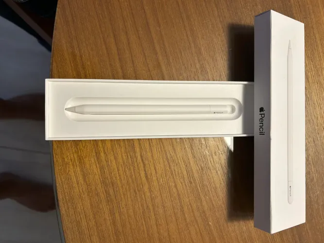 Apple Pencil (USB-C) para iPad