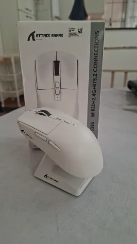 Mouse attack Shark