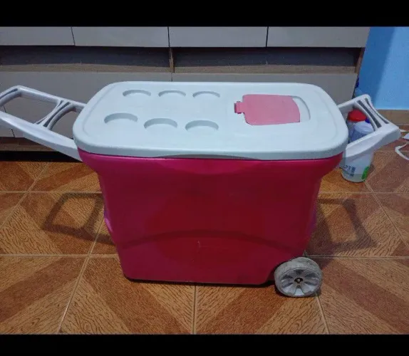 Cooler 50 lts