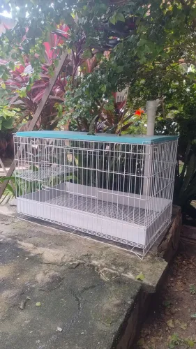 Gaiola viveiro para aves e roedores,