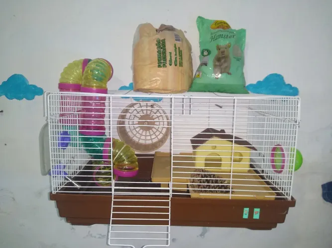 Gaiola para hamster completa com ração e serragem