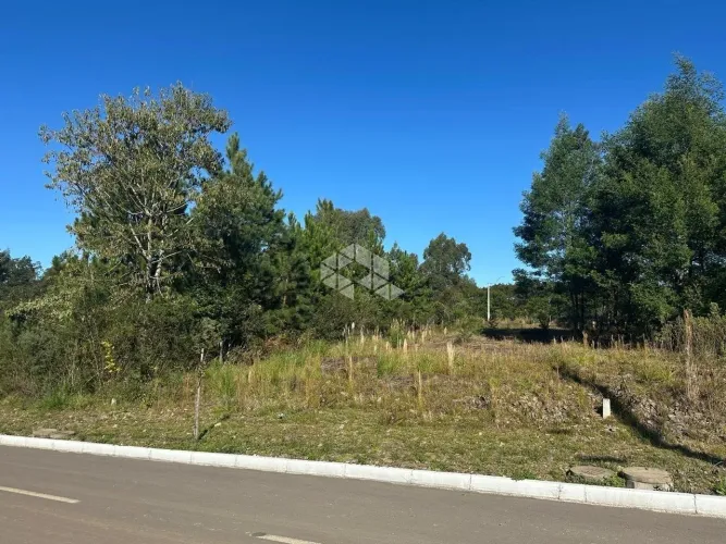 Terreno no bairro São francisco em Garibaldi