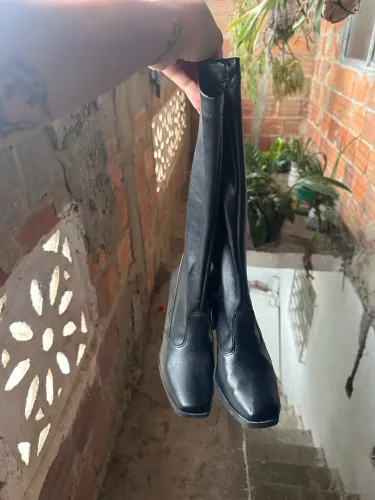 Bota