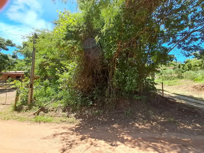 Lote em Taquaruçu 