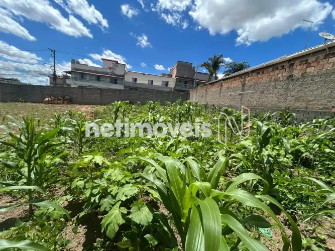 Venda Lote-Área-Terreno Vila Cristina Betim
