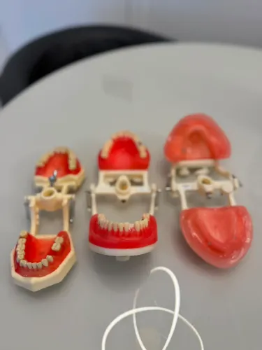 Manequim odontológico /dentistica/cirurgia