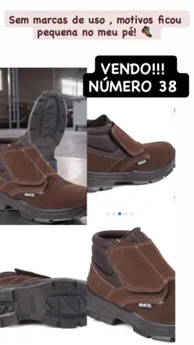 Bota bracol