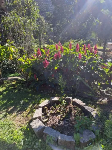 Sítio para Venda em Marechal Floriano, 2 dormitórios, 2 banheiros, 3 vagas