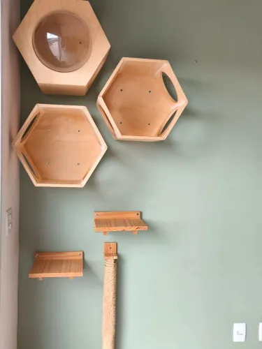 kit de móveis de parede para gatos.
